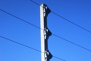 Cerco Eléctrico