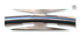 Recta